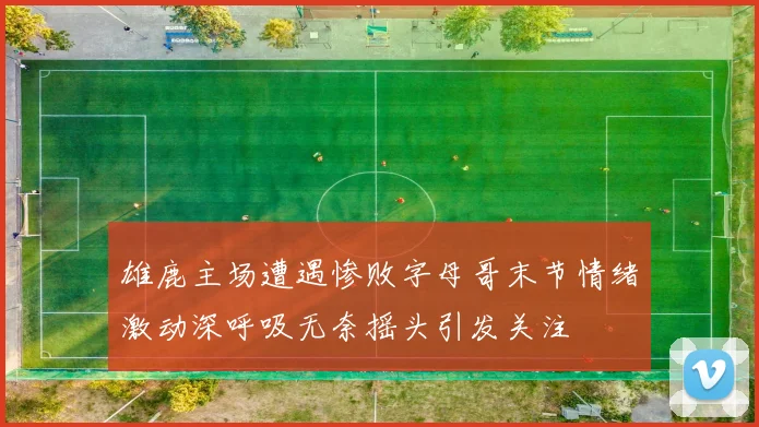 雄鹿主场遭遇惨败字母哥末节情绪激动深呼吸无奈摇头引发关注